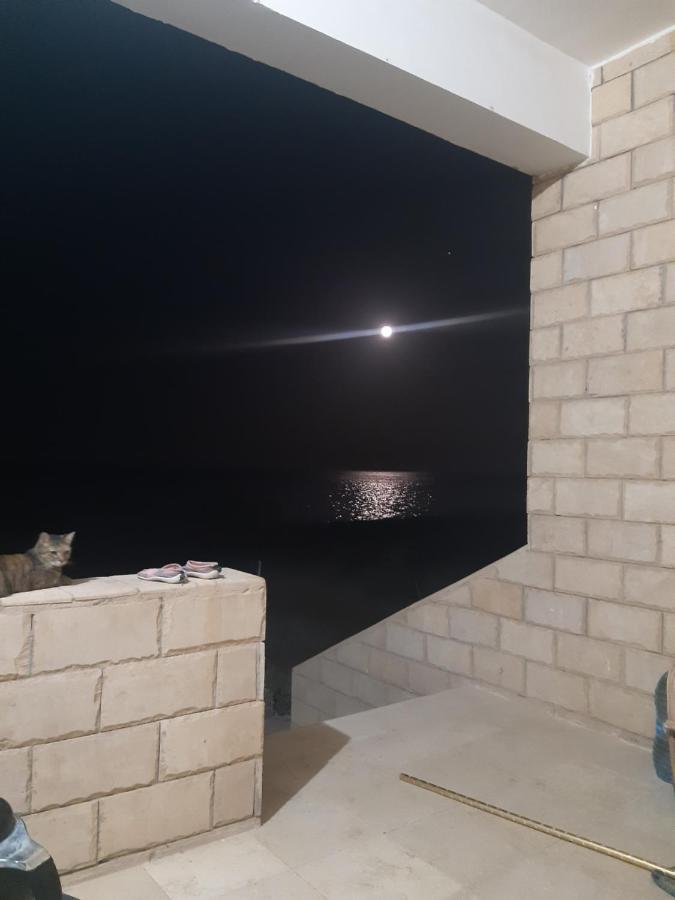 Вилла Coral Paradise Σαφάγκα Εξωτερικό φωτογραφία